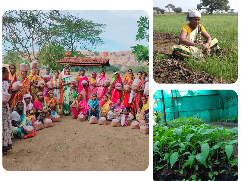 A Farmer's Journey